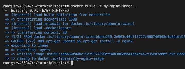 Building the Docker Image