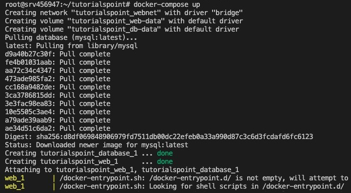 Docker Compose Up Command