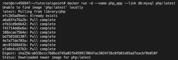 Docker Container Linking 1