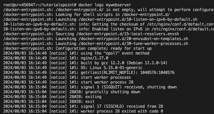 docker logs Command