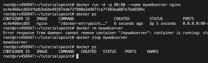 docker rm Command