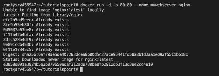 docker run Command