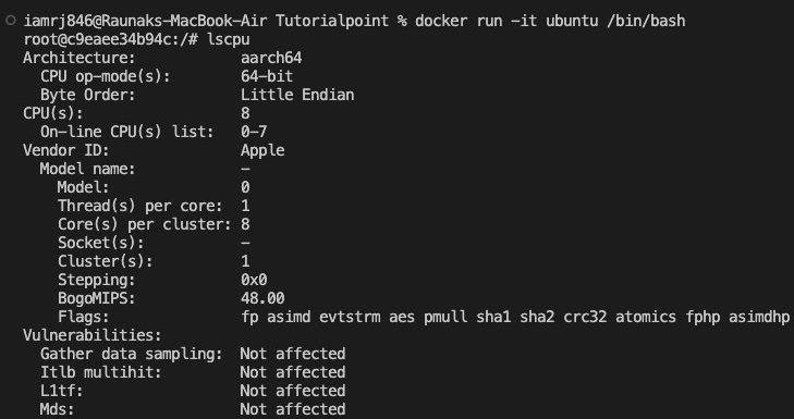 Docker run -it