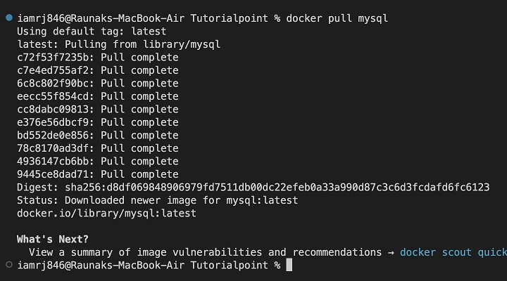 Docker Setting MySQL 1