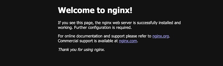 Docker Setting NGINX 3