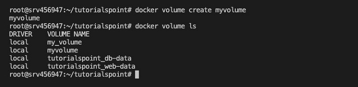 docker volume ls Command