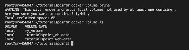 docker volume prune Command