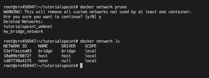 Prune Unused Networks