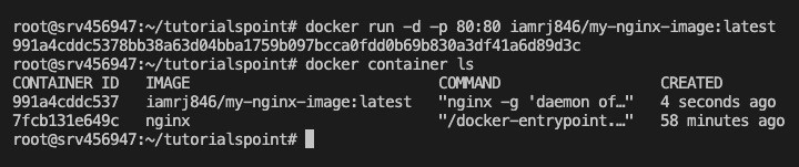 Running a Docker Container from the Image