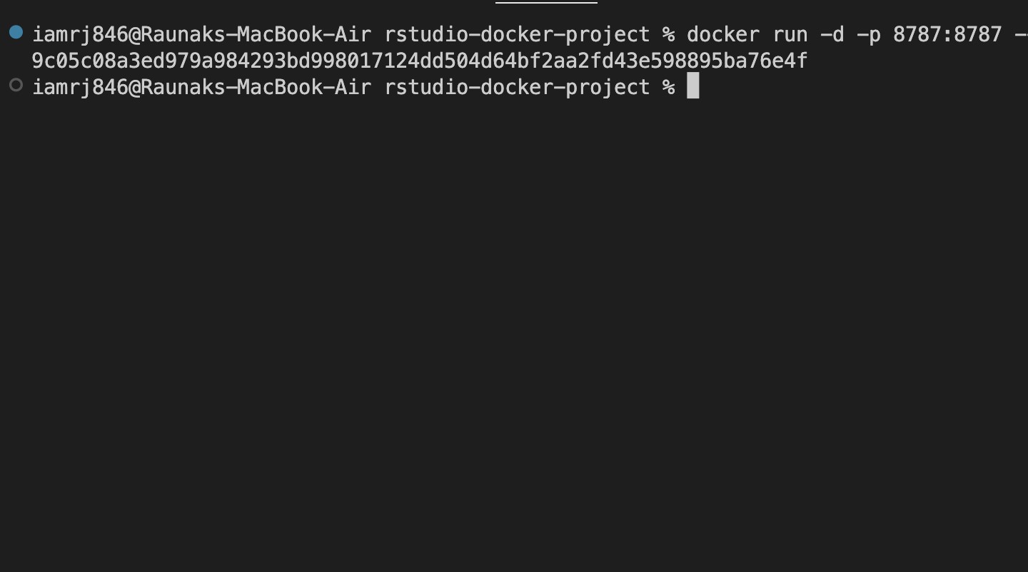 Running the RStudio Docker Container