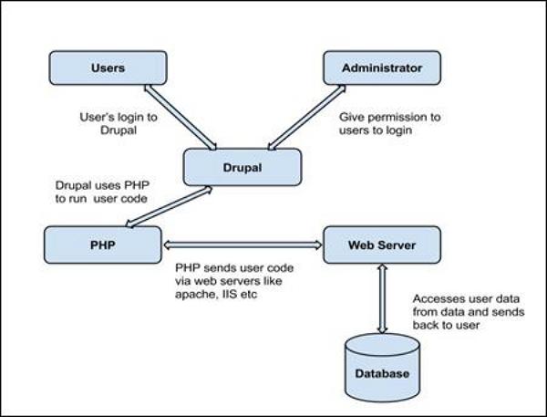 Drupal Taxonomies