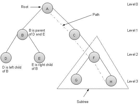 Binary Tree