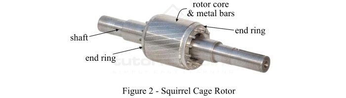 Squirrel cage