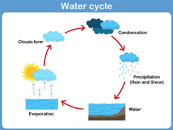 Water Cycle