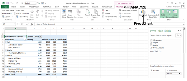 PivotCharts