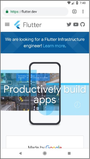 Flutter Infrastructure