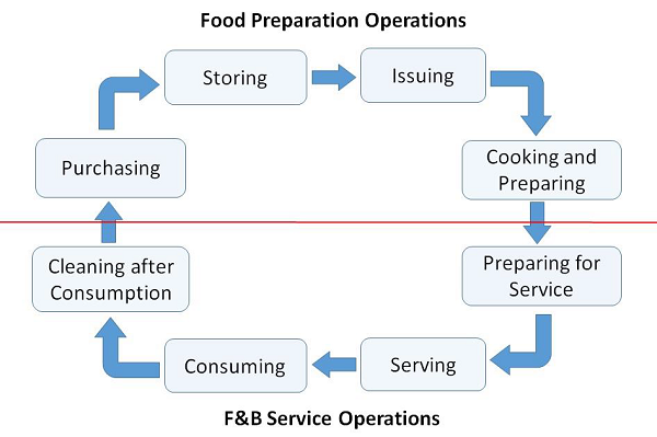 F and B Services Cycle