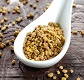 Fenugreek