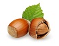 Hazelnut