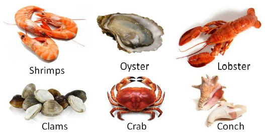 Shellfish