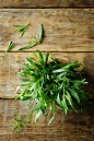 Tarragon