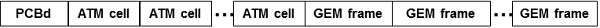 GPON Payloads