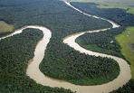 Amazon River