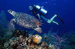 Belize Barrier Reef