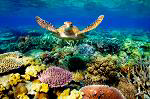 Great Barrier Reef