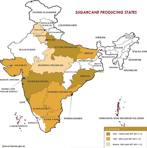 Sugarcane Producing