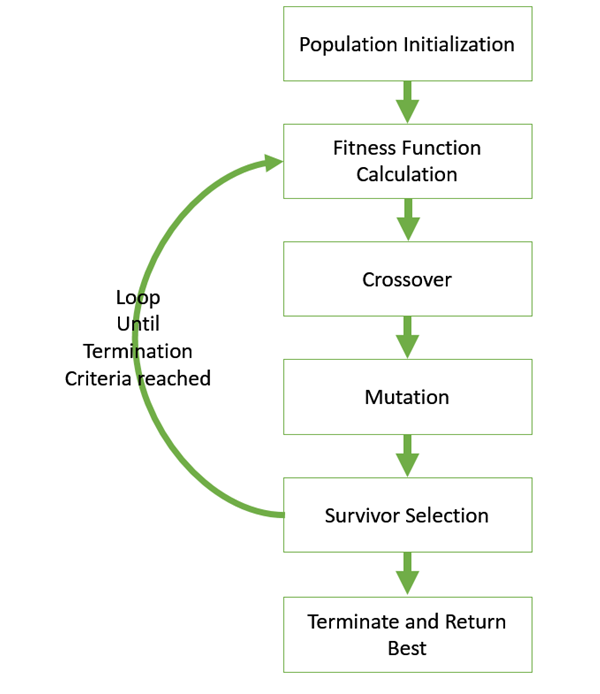 Basic Structure