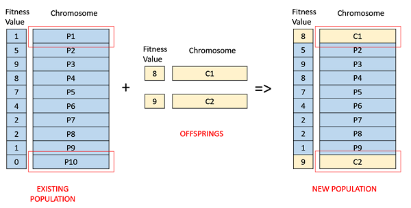 Fitness Based Selection