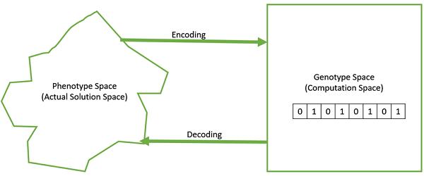 Phenotype and Genotype Space