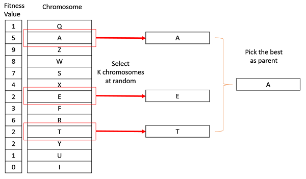 Tournament Selection