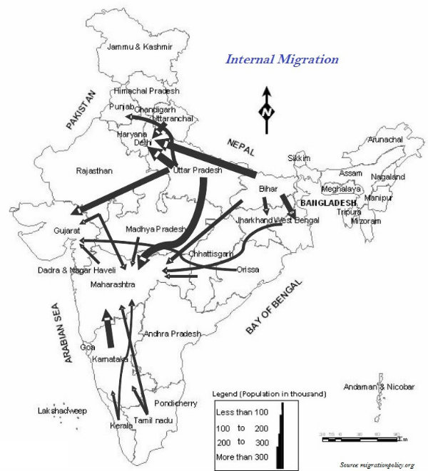 International Migration