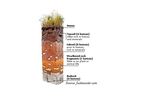 Soil Profile
