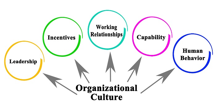 Organizational Culture