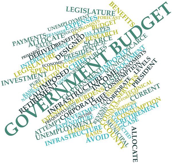 Government Budget