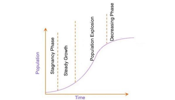 Phase of Population Growth