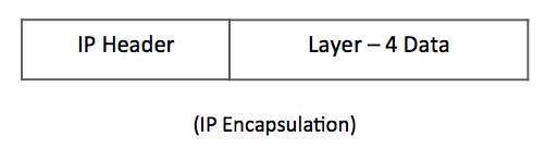 IP Encapsulation