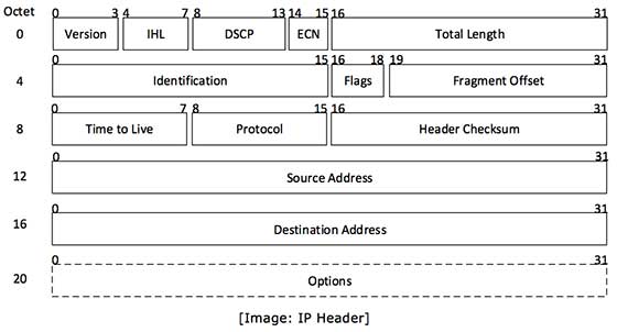 IP Header