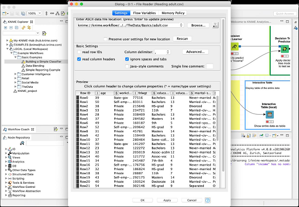 Adult CSV File