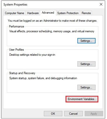 Environment Variables