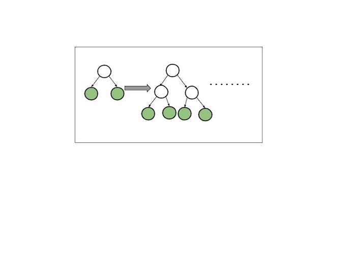 Level-wise Tree