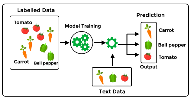 Supervised Machine Learning