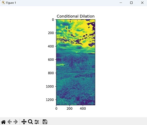 Conditional Dilation Image1