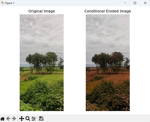 Conditional Erosion Image