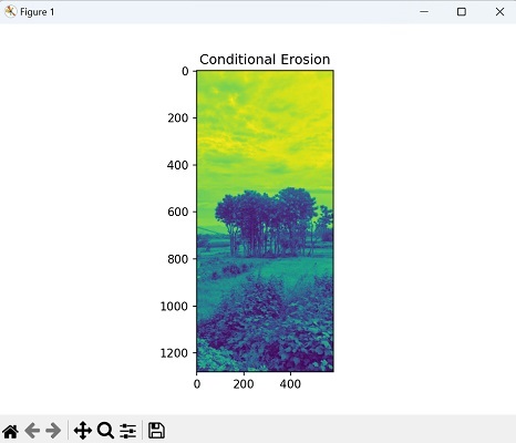 Conditional Erosion Image1