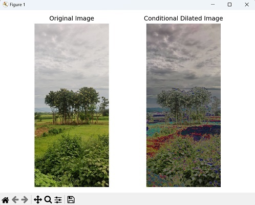 Dilating Image Mahotas 