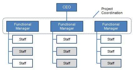  Functional Structure